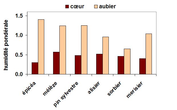 Aubier coeur Polge