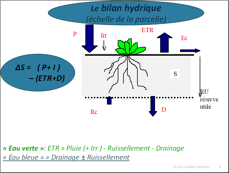 Corrigé des exercices :Le cycle et le bilan hydrologiques