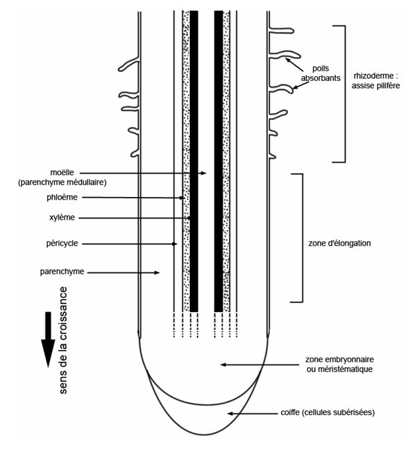 II2 Fig39