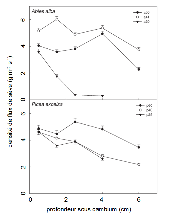 II2 Fig 45