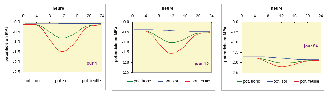 II8 Fig10