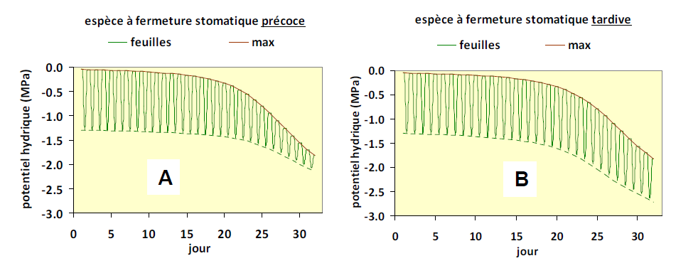 II8 Fig11