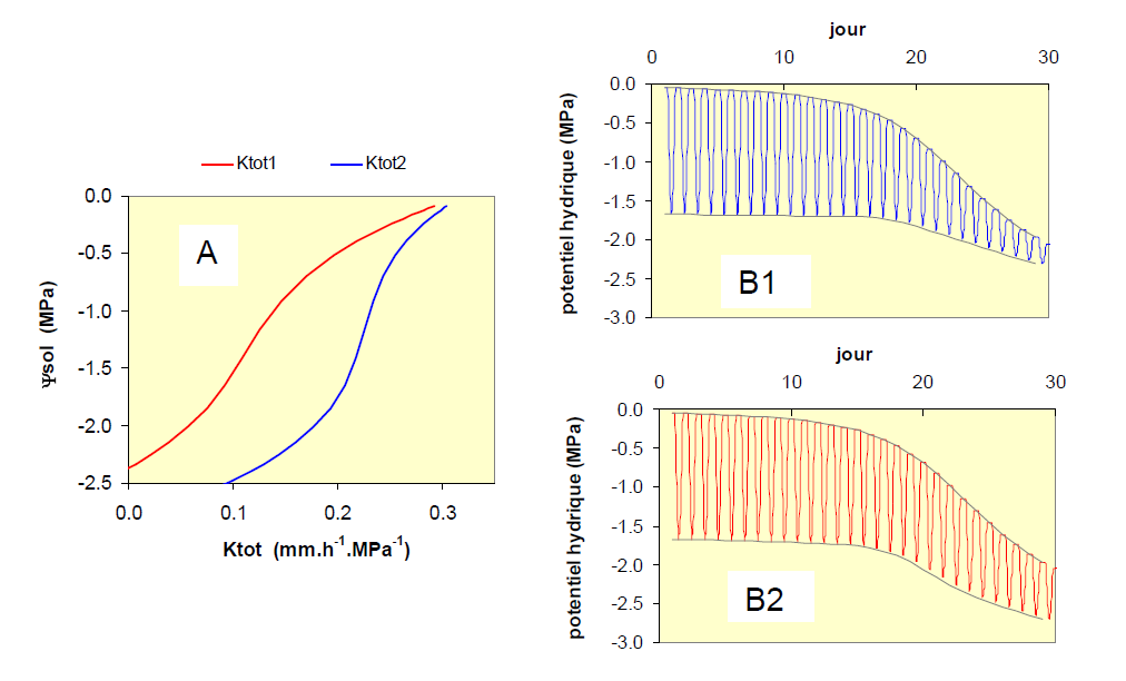 II8 Fig12