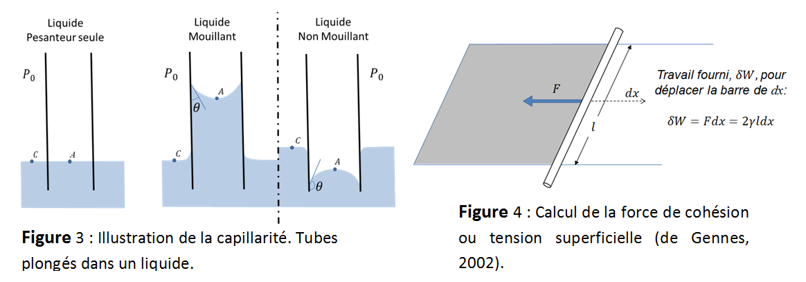 I.3 Fig3 4