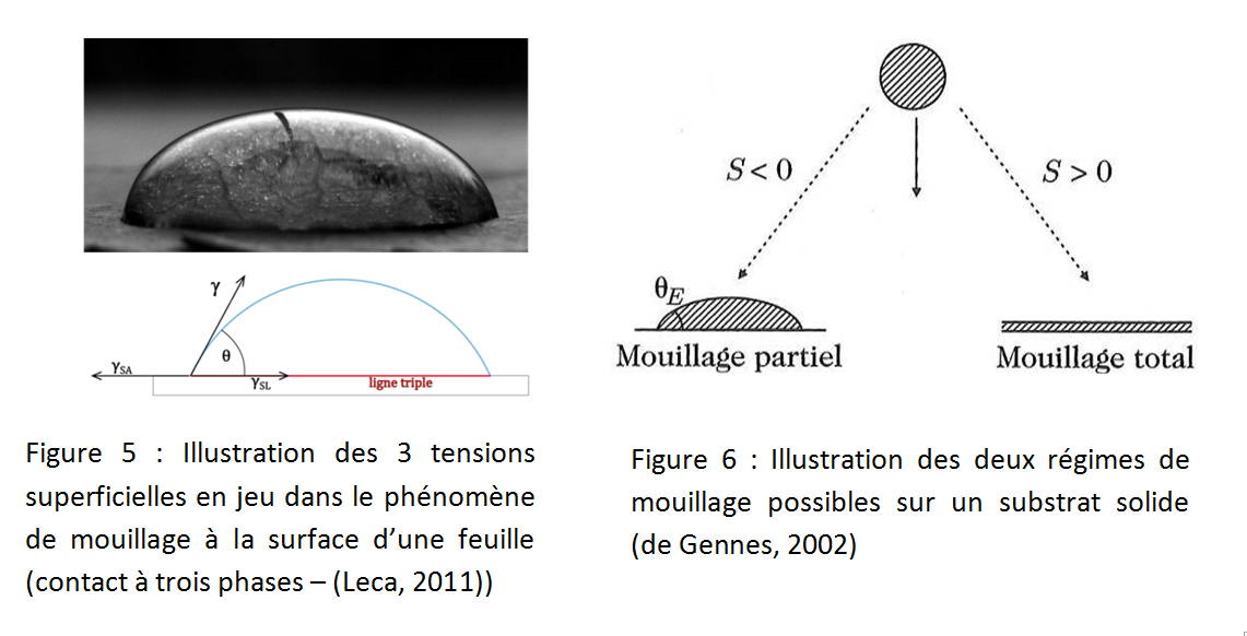 Anneau pour la mesure de tension superficielle - Jeulin