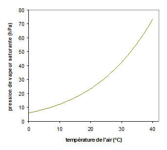 Comment l'humidité affecte la croissance d'une plante